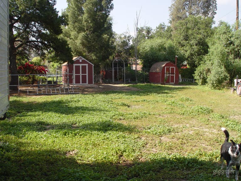  1913 Mini Ranch With Miniature Horses, Guest House, Theatre. 